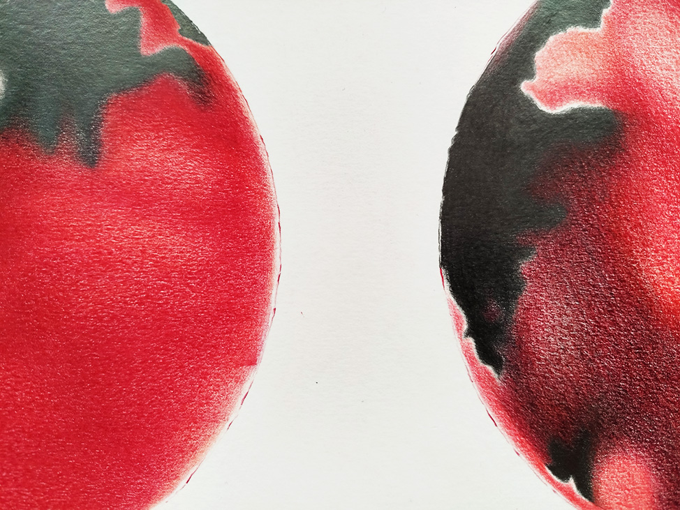 Detail aus dem mittleren Bereich der Zeichnung Phasen.