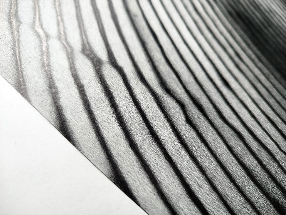 Detail aus einem seitlichen Bereich der Zeichnung Liebe.